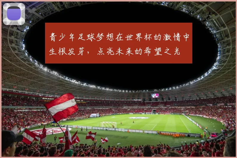 青少年足球梦想在世界杯的激情中生根发芽，点亮未来的希望之光